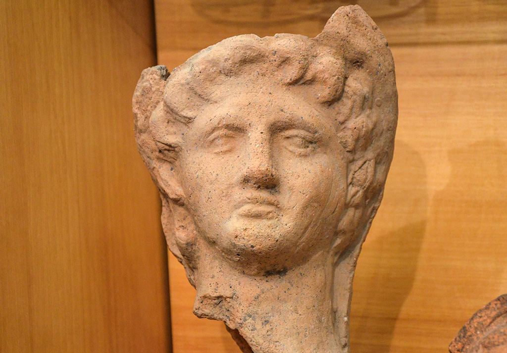 Testa vitiva romana - Museo della Città - Aquino